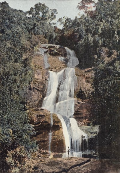 Tijuca, piccola cascata da European Photographer